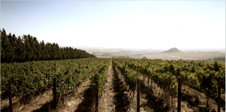 Near established Wine Routes